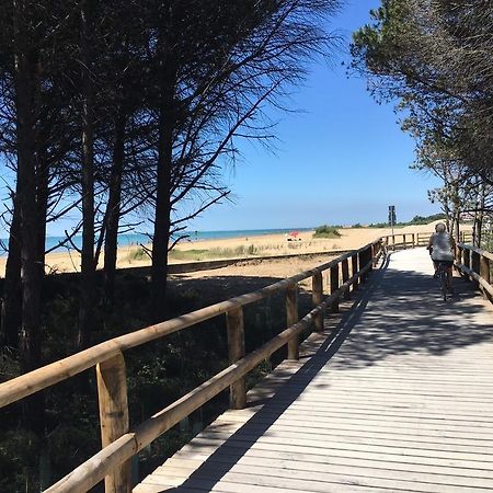 Appartamenti Eridano Bibione Exterior foto